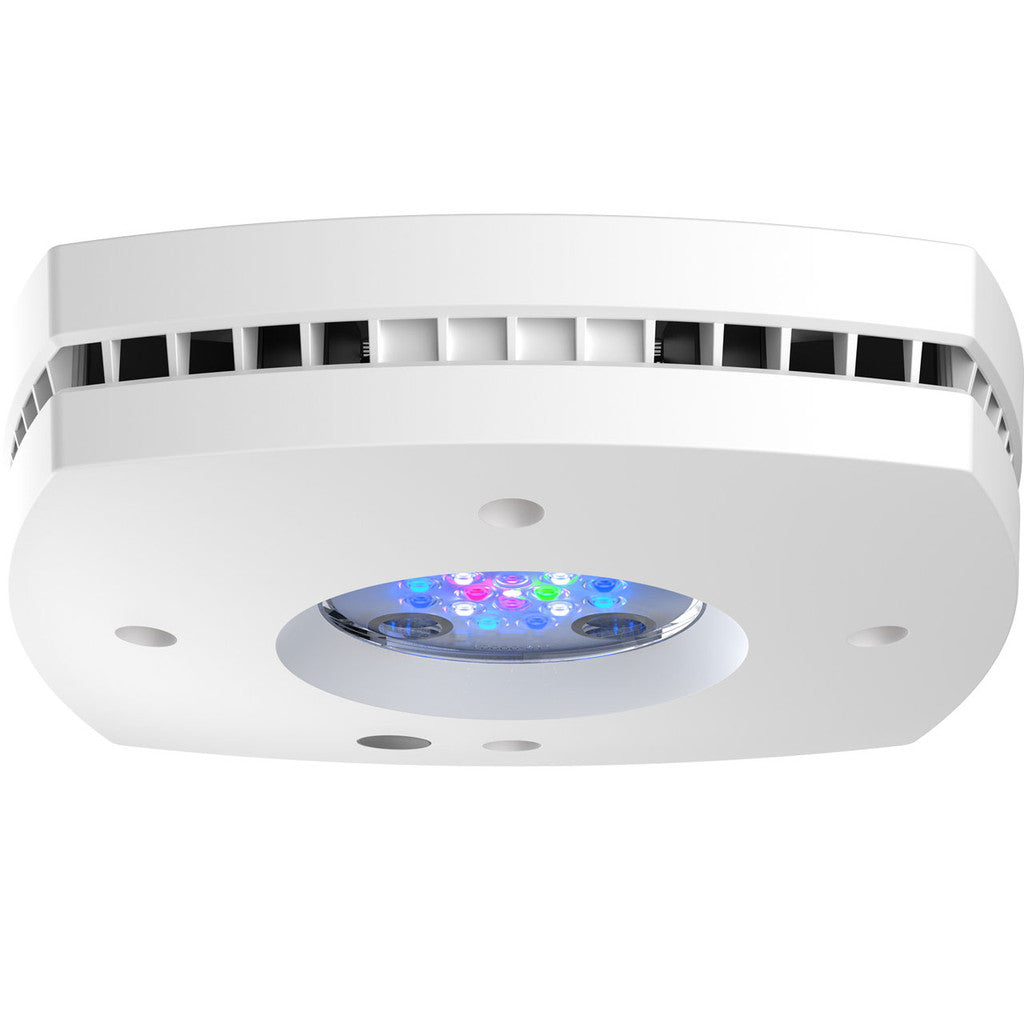 AI Hydra Prime 16 HD LED Module - White Body