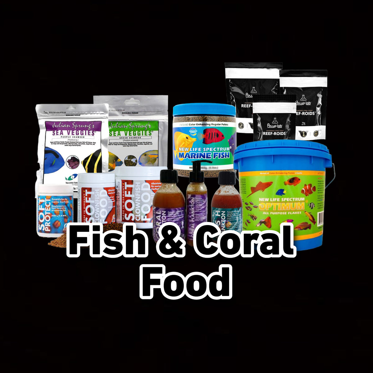 Fish & Coral Foods