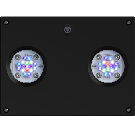 AI Hydra 32 HD LED Module - Black Body