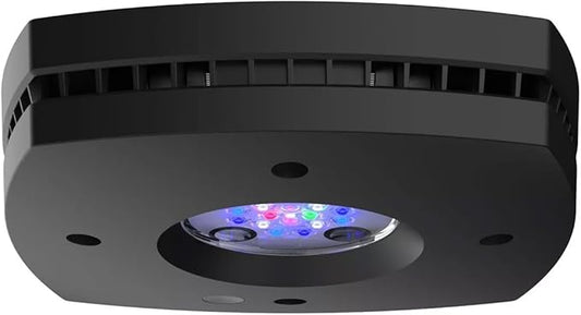 AI Hydra Prime 16 HD LED Module - Black Body